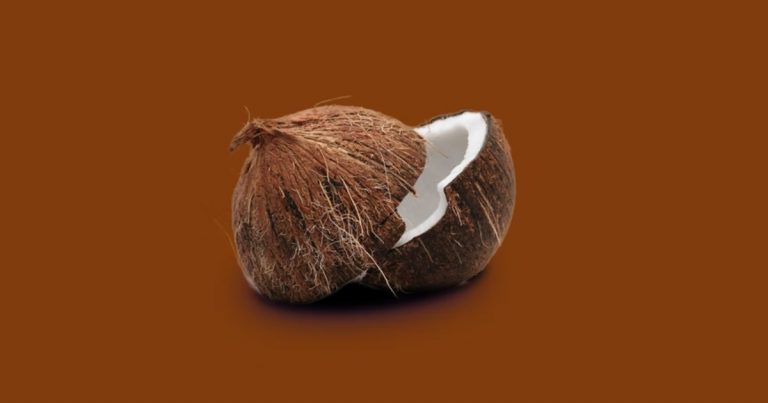 one coconut
